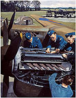 Daily Inspections
