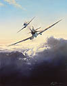 Merlin Magic - by Robert Taylor