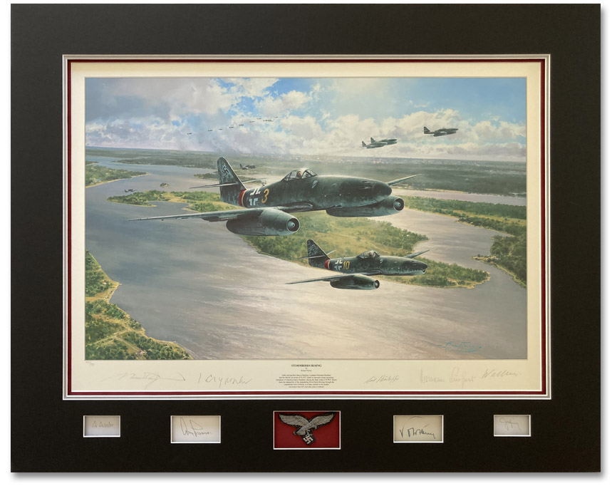 Stormbirds Rising - by Robert Taylor